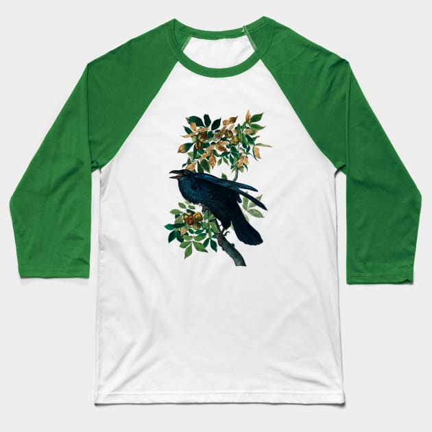 Raven from Birds of America by John James Audubon Baseball T-Shirt by Dystopianpalace